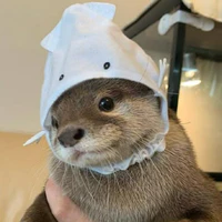 Nhỏ tg👉👈