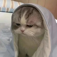 Tác Giả