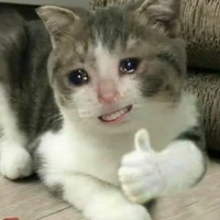 tất cả mọi người