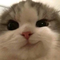 Plinh