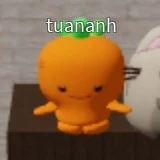 nguyen