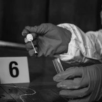 Pháp Y ( nói chung )