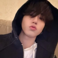 Han Jisung🦫