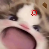 t/g học ngu