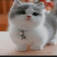 tác giả zô tri :3