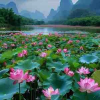 Nhân vật phụ 