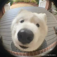 Bờ cáa  ̊ᯓᰔ ࣪
