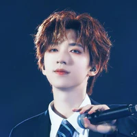 Hạ Tuấn Lâm