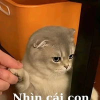 Tác giả
