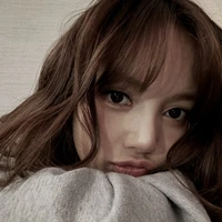 Tác giả cute hột gà