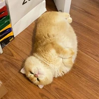 Mimi