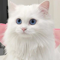 Dương Dương