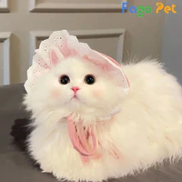 Bông ( Duy ở dạng mèo)