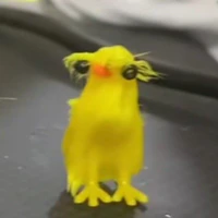 tg
