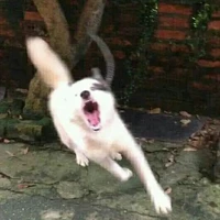 All