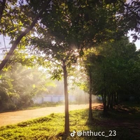 Cả lớp