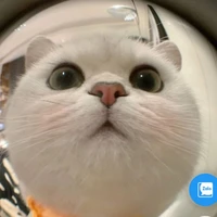 t/g cưtê phô mai que🐜