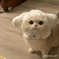 mấy bé bot trừ vài trường hợp