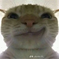 tác giả khóc nhè