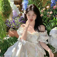 Đinh Liên Anh - ả