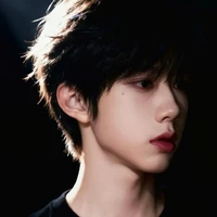 Trần Dịch Hằng