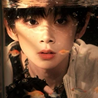 Trần Tư Hãn