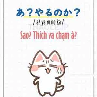 Tác giả nè (•^•)