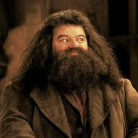 Rubeus Hagrid.