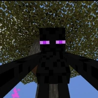 enderman