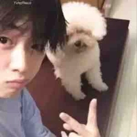 Nhỏ tgiaa