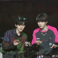 Puu