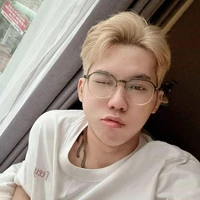 Hữu Đạt ( phoenix )