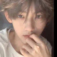 Tuệ Nam