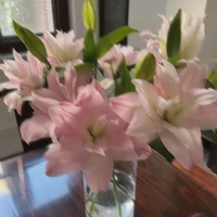 Cá Bống là nhỏ t/g