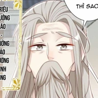 Triệu trưởng lão (tltmt)