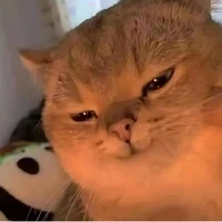 tác giả uy tín nhất Việt Nam