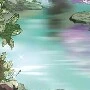 Nhân vật Tổng hợp
