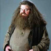 Rubeus Hagrid