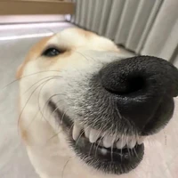 con tó hay tự ái:)) 