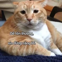 🤓