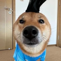 Đăng,  Dương và Hùng