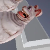 tác giả (hội trưởng)