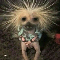 Ɩყɛ