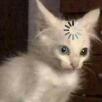 Phụ-chan