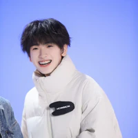 Tả Kỳ Hàm_H