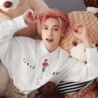 Nguyễn Thái Sơn ((mèo))