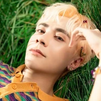 Lê Quang Hùng ((mèo))