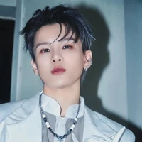 Phạm Đình Thái Ngân ((cáo))