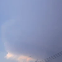 ALL tùy trường hợp