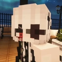 _ Flower Tulip 🌹_